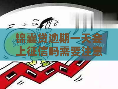锦囊贷逾期一天会上吗需要注意哪些事项