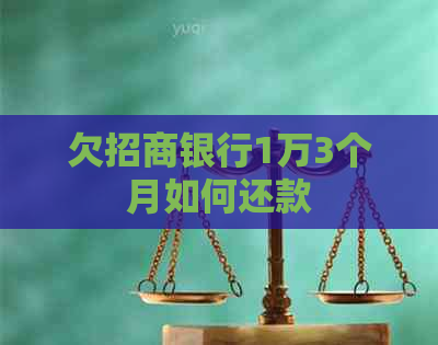 欠招商银行1万3个月如何还款