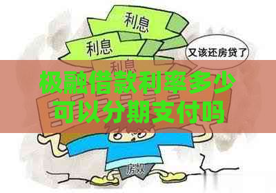极融借款利率多少可以分期支付吗
