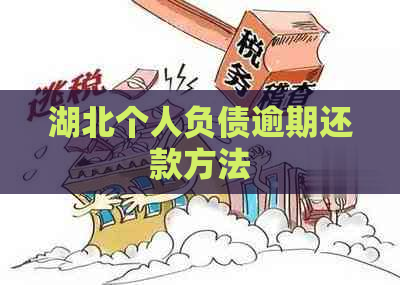 湖北个人负债逾期还款方法