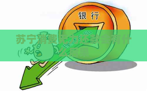 苏宁消费无力还款会有什么后果