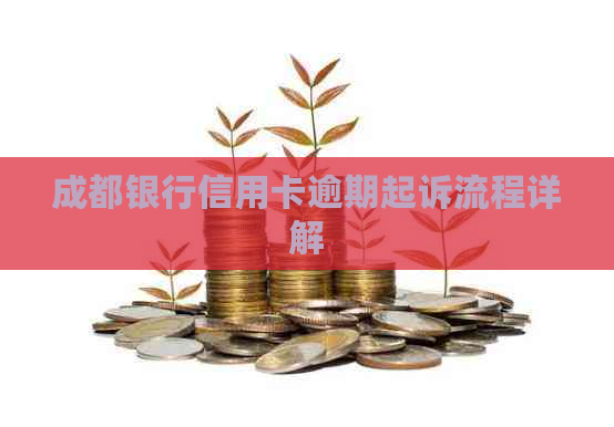 成都银行信用卡逾期起诉流程详解