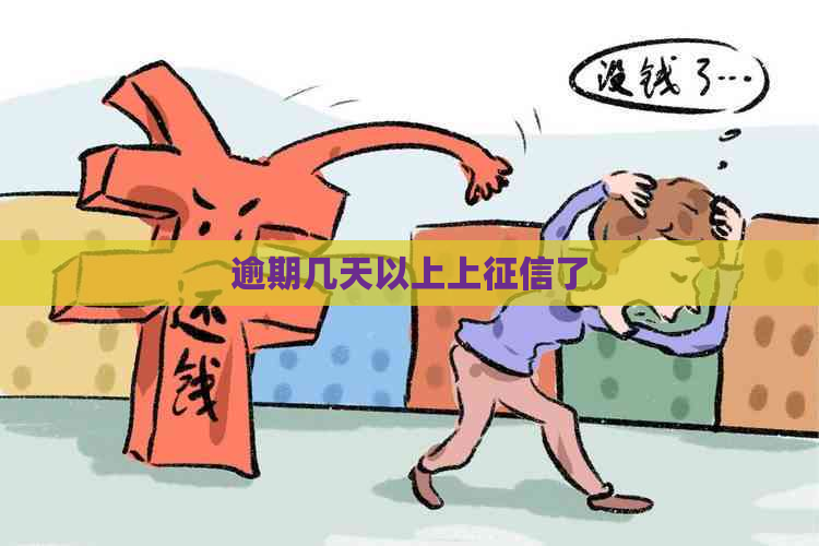 逾期几天以上上了