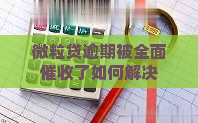 微粒贷逾期被全面了如何解决