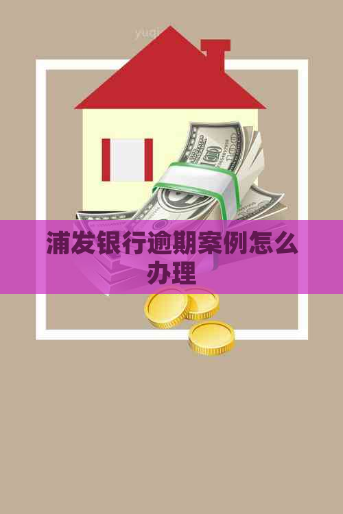 浦发银行逾期案例怎么办理