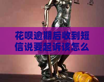 白条逾期后收到短信说要起诉该怎么办