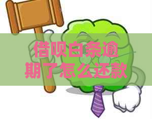 信用卡白条逾期了怎么还款