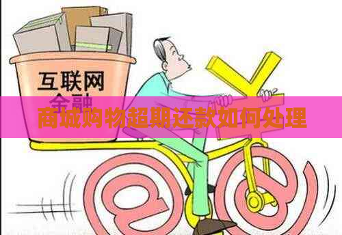 商城购物超期还款如何处理