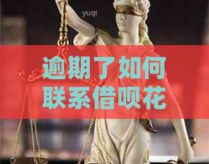逾期了如何联系信用卡白条的客服