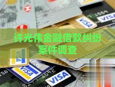 许光伟金融借款纠纷案件调查