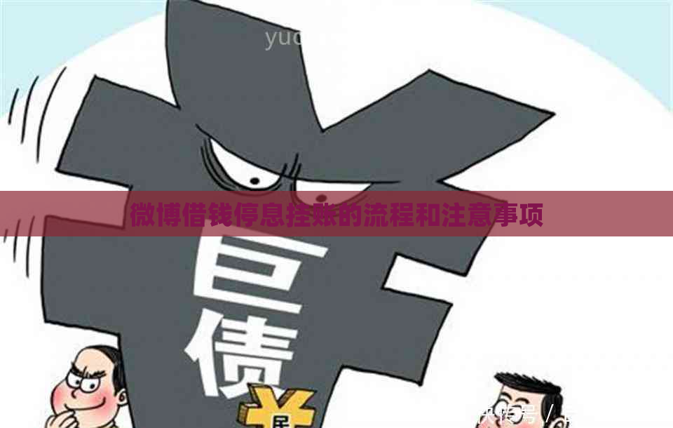微博借钱停息挂账的流程和注意事项