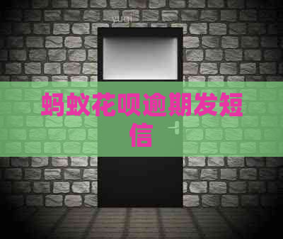 蚂蚁白条逾期发短信