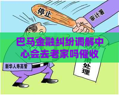 巴马金融纠纷调解中心会去老家吗