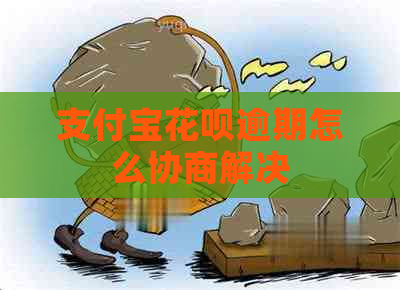 信用卡白条逾期怎么协商解决