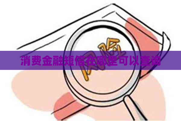 消费金融短信在哪里可以查询