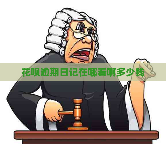 白条逾期日记在哪看啊多少钱