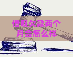 信用卡欠款两个月会怎么样