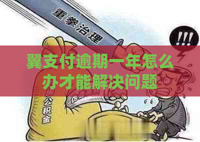 翼支付逾期一年怎么办才能解决问题