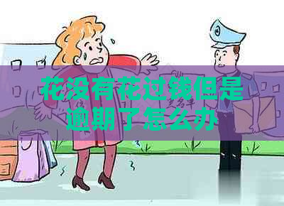 花没有花过钱但是逾期了怎么办