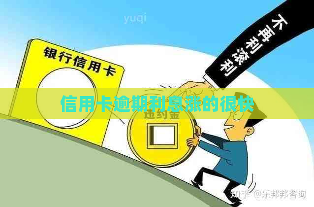 信用卡逾期利息涨的很快