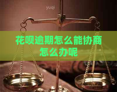 白条逾期怎么能协商怎么办呢