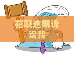 白条逾期诉讼我