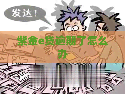 紫金e贷逾期了怎么办