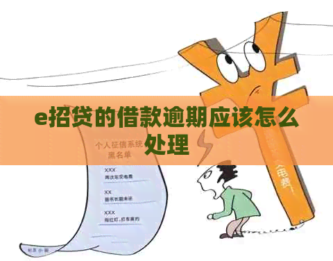e招贷的借款逾期应该怎么处理