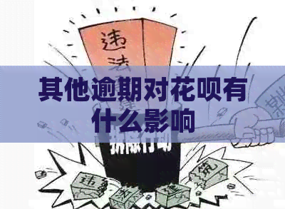 其他逾期对白条有什么影响