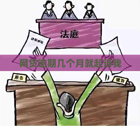 网贷逾期几个月就起诉我