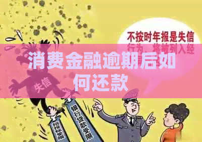 消费金融逾期后如何还款