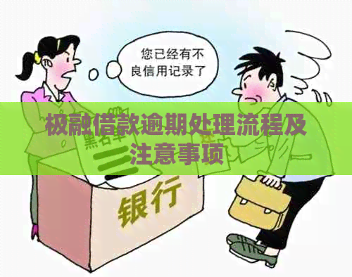 极融借款逾期处理流程及注意事项