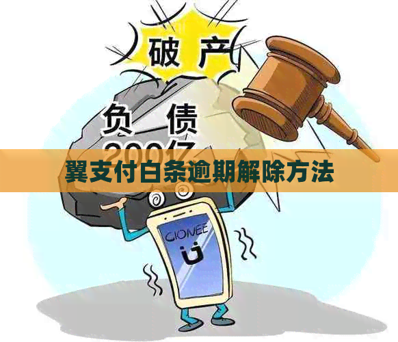 翼支付白条逾期解除方法