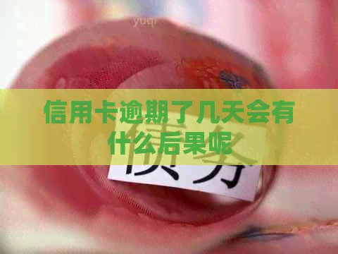 信用卡逾期了几天会有什么后果呢