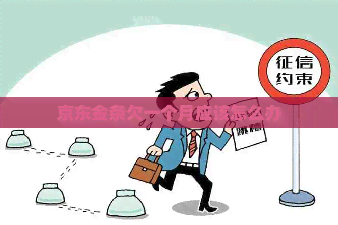 京东金条欠一个月应该怎么办