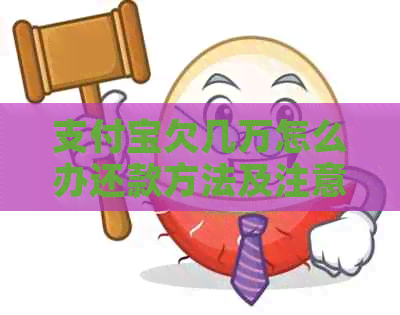 信用卡欠几万怎么办还款方法及注意事项