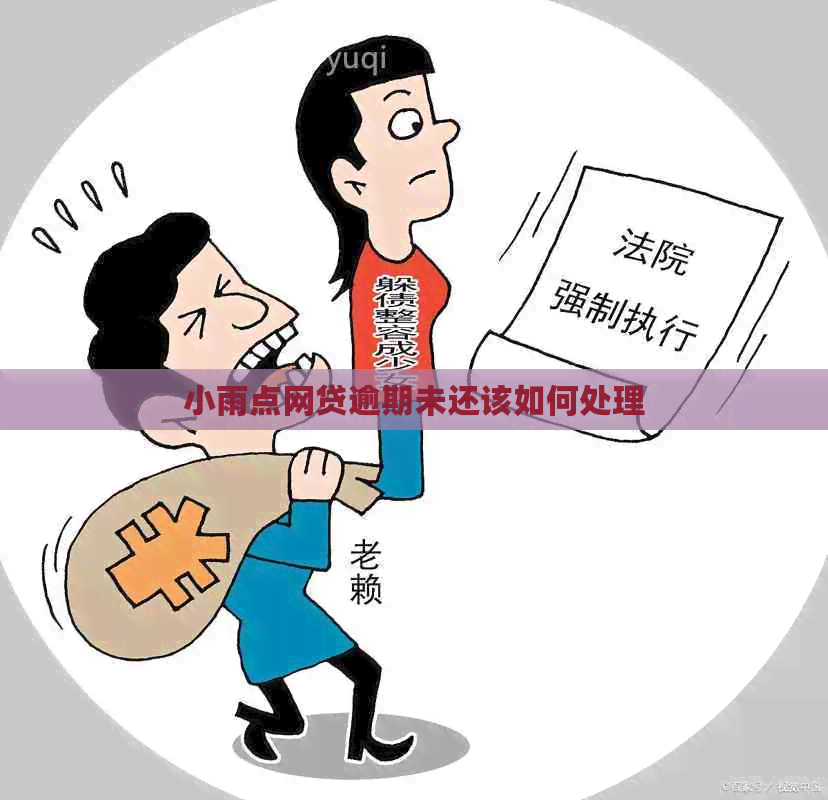 小雨点网贷逾期未还该如何处理