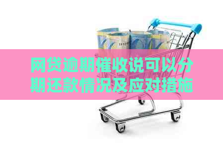 网贷逾期说可以分期还款情况及应对措施