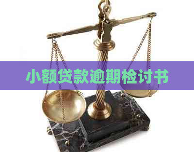 小额贷款逾期检讨书