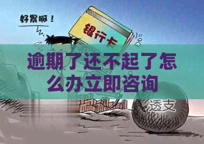 逾期了还不起了怎么办立即咨询