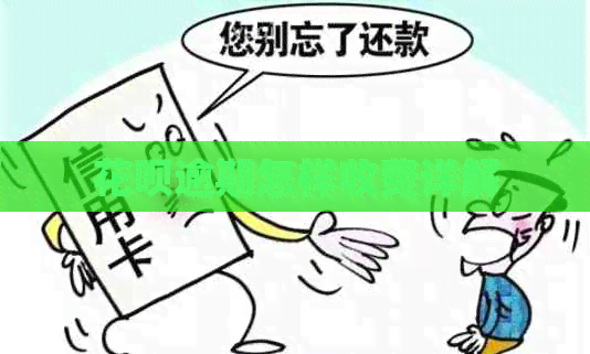 白条逾期怎样收费详解