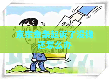 京东金条起诉了没钱还怎么办