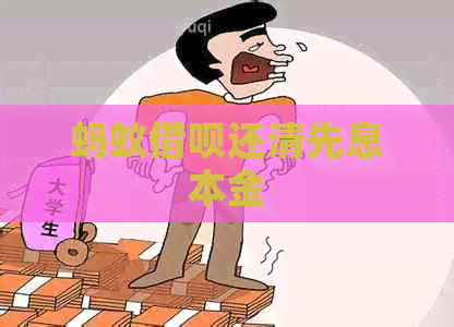 蚂蚁信用卡还清先息本金