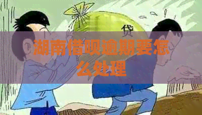 湖南信用卡逾期要怎么处理