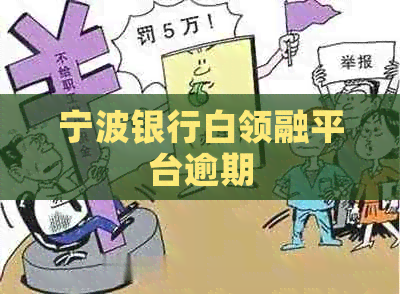 宁波银行白领融平台逾期