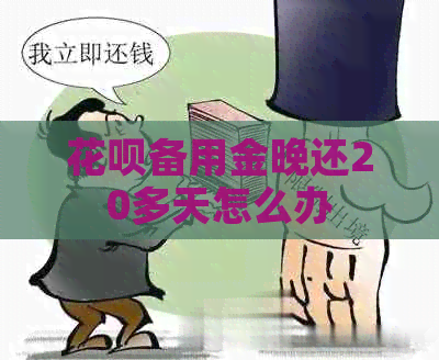 白条备用金晚还20多天怎么办
