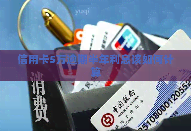 信用卡5万逾期半年利息该如何计算