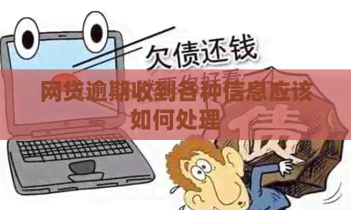 网贷逾期收到各种信息应该如何处理