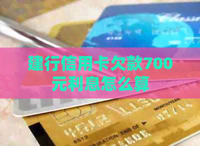 建行信用卡欠款700元利息怎么算