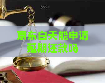 京东白天能申请延期还款吗